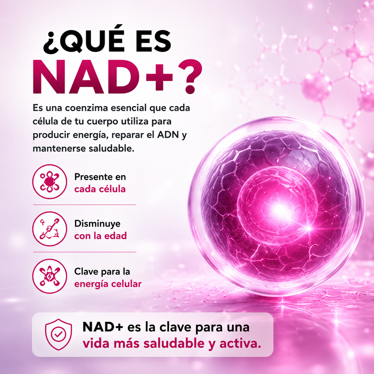 NAD+RESVERATROL 60 CAPSULAS* REJUVENECIMIENTO CELULAR