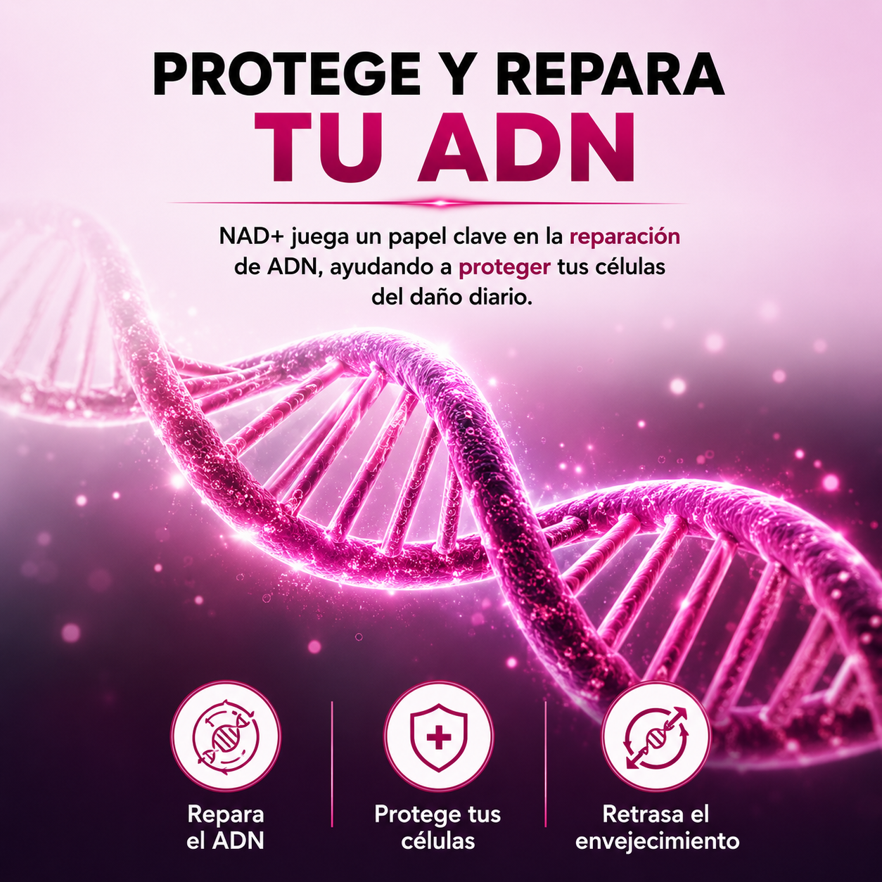 NAD+RESVERATROL 60 CAPSULAS* REJUVENECIMIENTO CELULAR