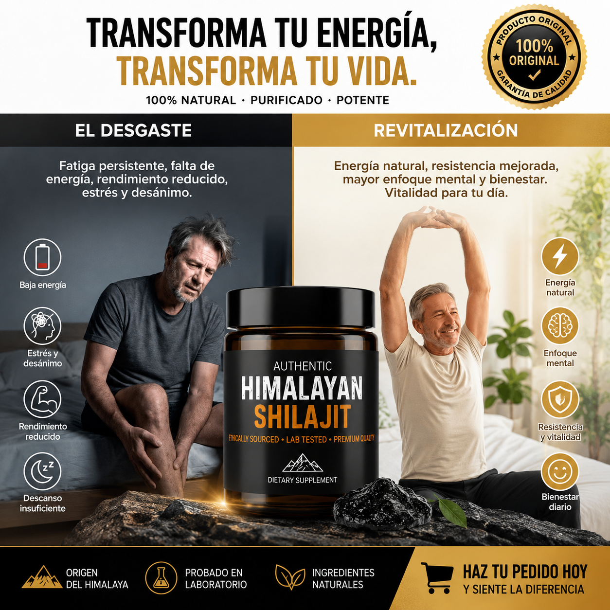 Shilajit Himalaya Original