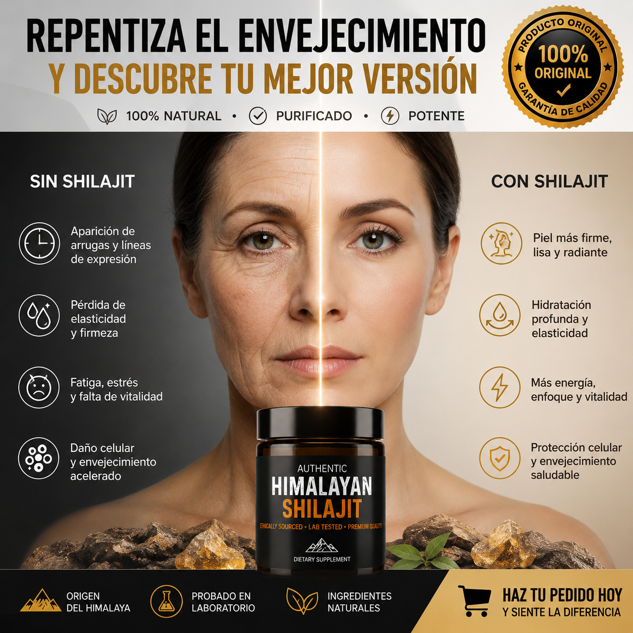 Shilajit Himalaya Original