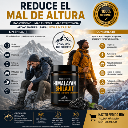 Shilajit Himalaya Original