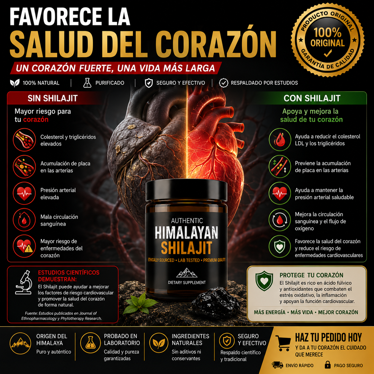 Shilajit Himalaya Original