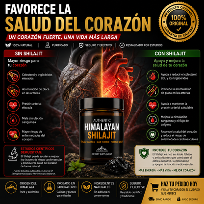 Shilajit Himalaya Original