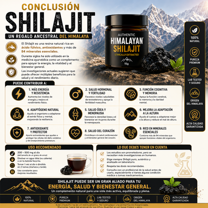 Shilajit Himalaya Original